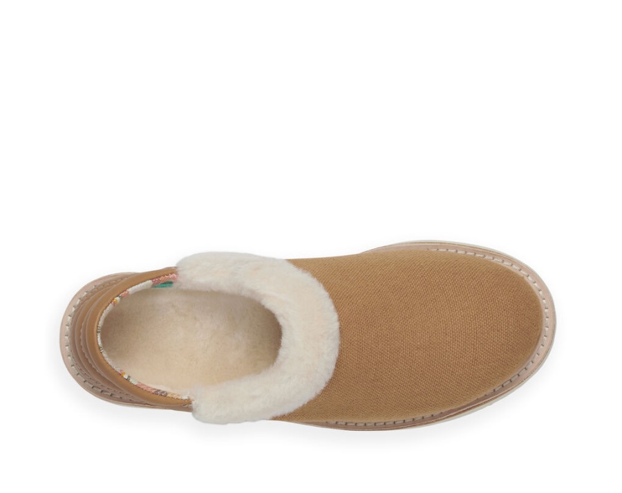 Sanuk Cozy Vibe Low Sm Chestnut